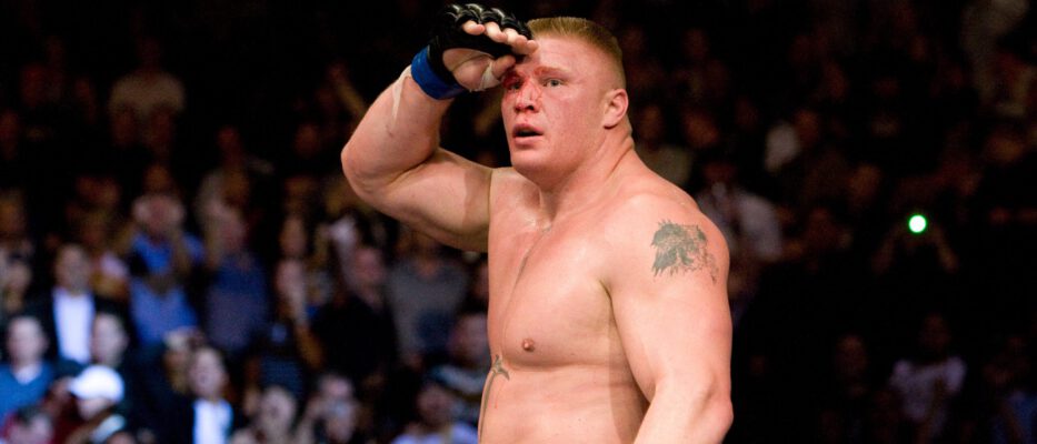 UFC 91 - Brock Lesnar