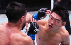 UFC Fight Night: Song Yadong v Gutierrez